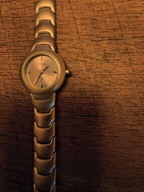 Fossil Watch (Silver)